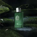 عطر مردانه پاکوروکا مدل Vert Men حجم 100 میل  - Image 2