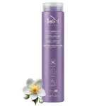 ماسک مو ضد وز آیاِنجی حجم ۲۵۰ میل