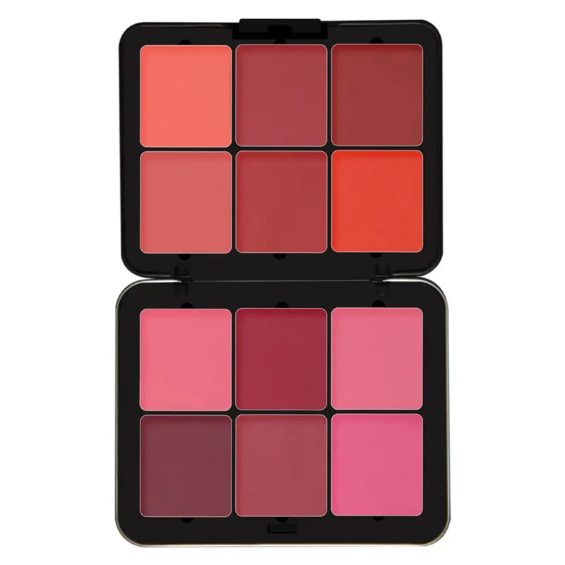 پالت رژگونه فیوچر میکاپ FU 104