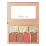 پالت رژگونه و هایلایتر کاراکتر TFD002