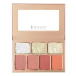 پالت رژگونه و هایلایتر کاراکتر TFD001