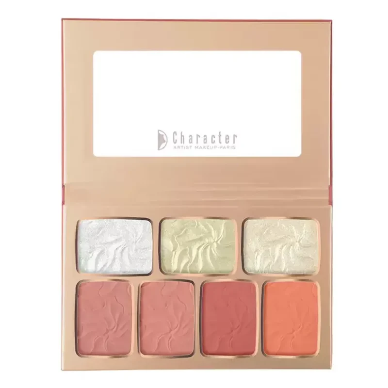 پالت رژگونه و هایلایتر کاراکتر TFD001