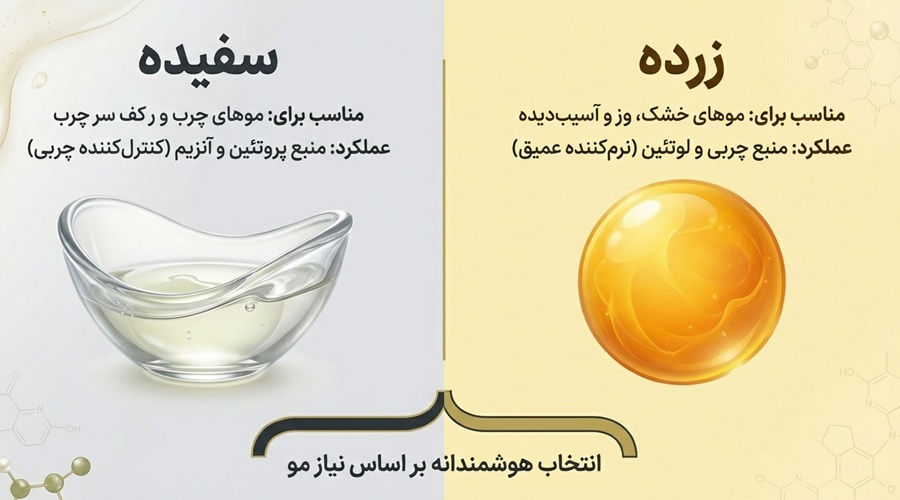 ساختار تخم مرغ برای مو