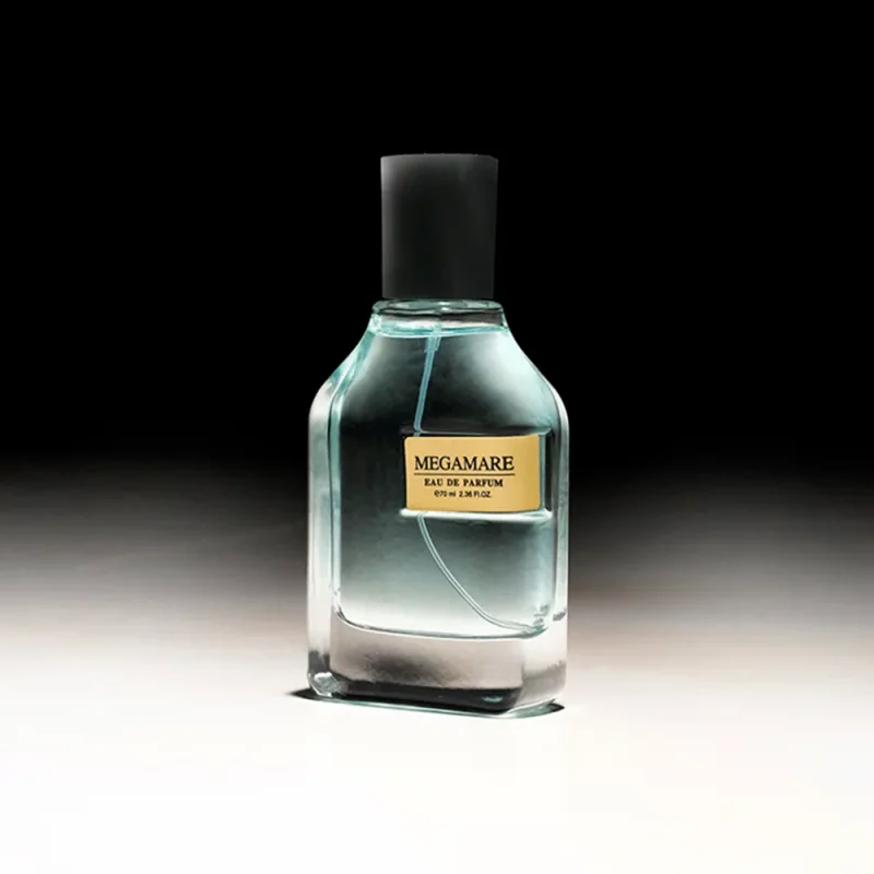 ادوپرفیوم فراگرنس Aqua Pura Megamare حجم ۷۰ میل - Image 3