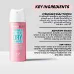 شامپو خشک هیربرست Volume & Refresh حجم ۵۰ میل - Image 2