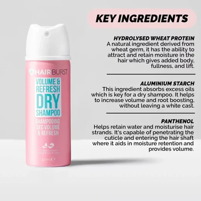شامپو خشک هیربرست Volume & Refresh حجم ۵۰ میل - Image 2