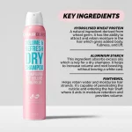 شامپو خشک هیربرست Volume & Refresh حجم ۲۰۰ میل - Image 2
