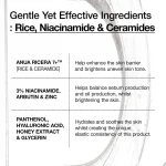سرم برنج آبرسان آنوا Rice + Ceramide حجم 50 میل - Image 3