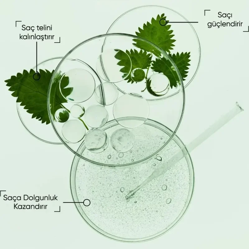 شامپو ضدریزش بیوبلاس مدل Nettle Oil حجم ۳۶۰ میل - Image 2