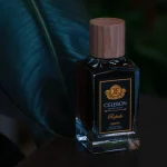 عطر مردانه سلبون مدل رافائل