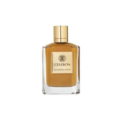 عطر مردانه سلبون مدل استانینگ اودور