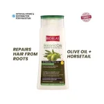 شامپو ضدریزش بیوبلاس مدل Botanic Oil حجم 360میل - Image 2