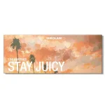 پالت سایه چشم شیگلم مدل Stay Juicy, La