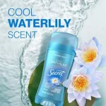 استیک ضدتعریق سکرت مدل Cool Waterlily Invisible Solid حجم ۷۳ گرم1