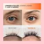 سرم تقویت مژه لیلی‌ایو مدل GROW Exosome Dual Lash Serum حجم 8میل - تصویر 6